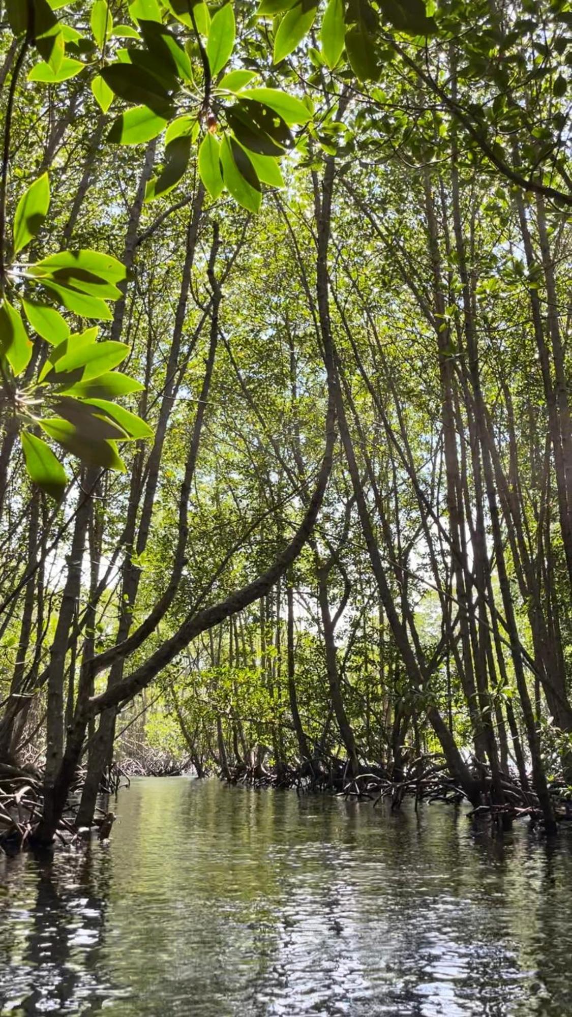 Mangrove Beach Hut Lembongan Εξωτερικό φωτογραφία