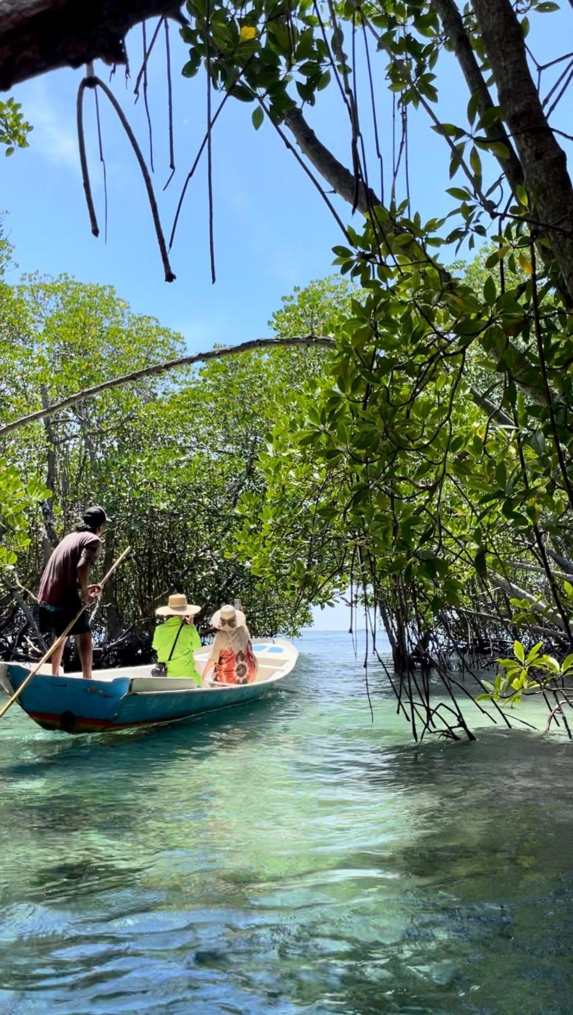 Mangrove Beach Hut Lembongan Εξωτερικό φωτογραφία